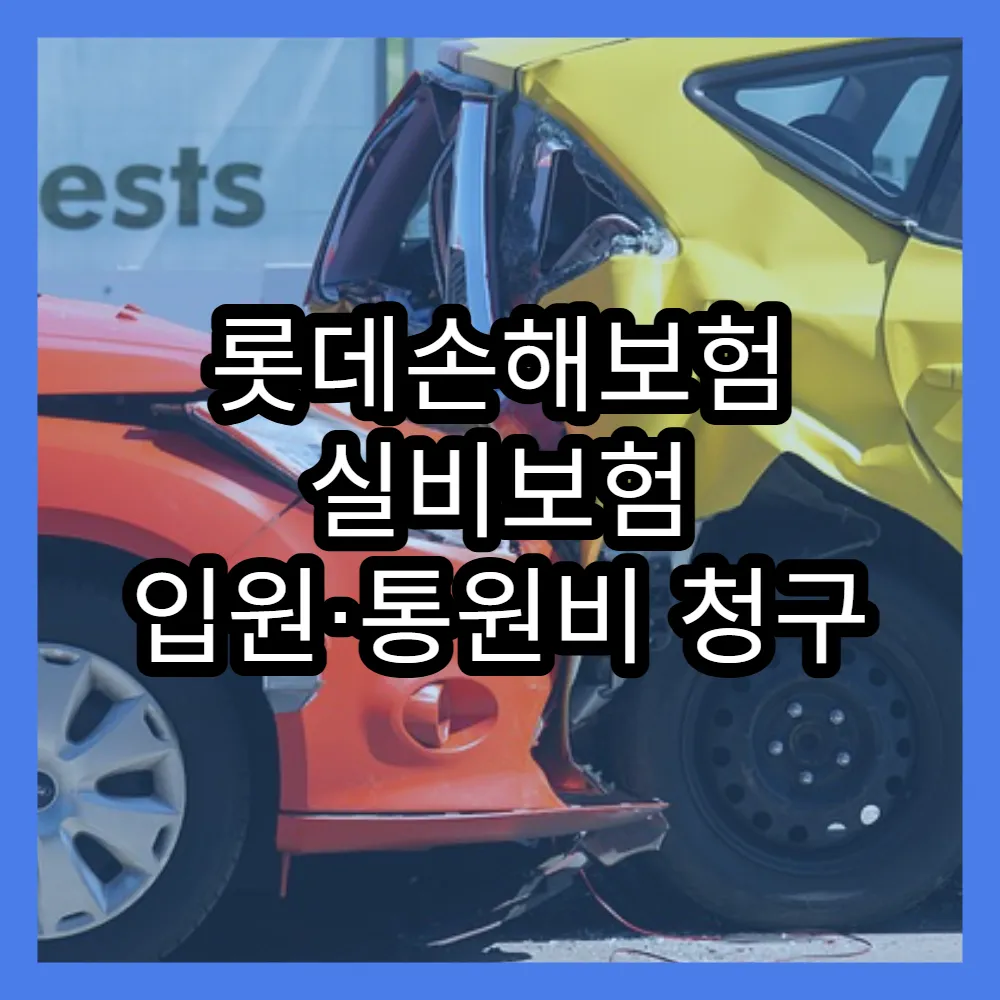 롯데손해보험 실비보험 입원·통원비 청구 FAQ(+자주묻는질문, 사례정리)