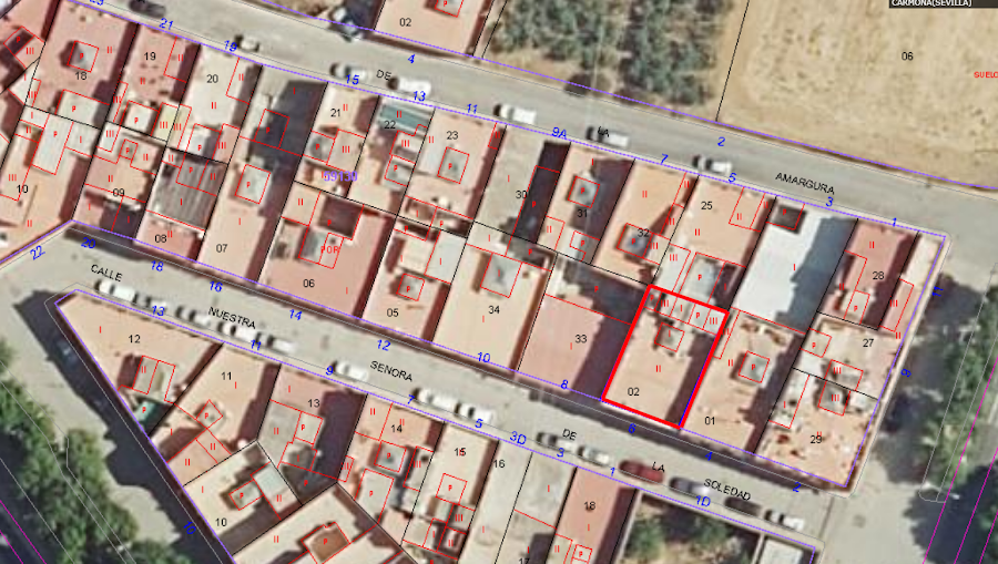 Imagen 11