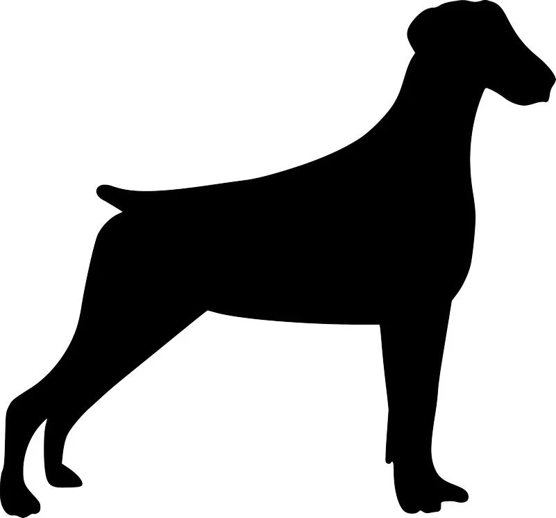 Black silhouette of a Doberman Pinscher in a show stance, designed for Industrial CNC cutting.