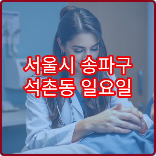 서울시 송파구 석촌동 일요일 안과 진료 병원 눈 충혈