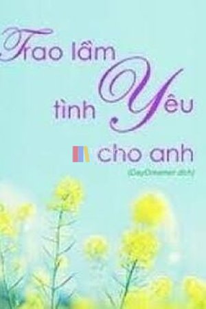 Trao Lầm Tình Yêu Cho Anh