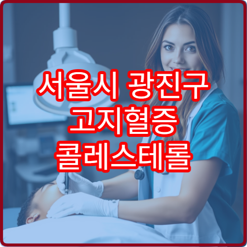 서울시 광진구 고지혈증 콜레스테롤 수치 검사 및 치료 병원 안내