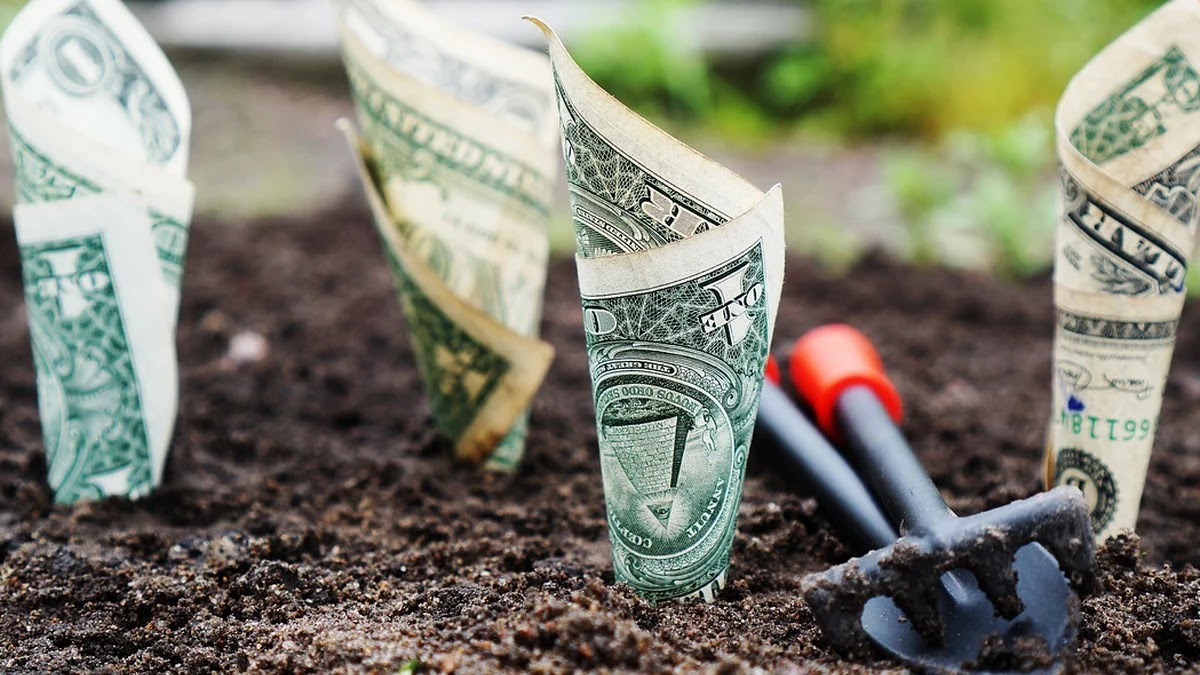 파킹통장 금리 비교와 숨은 조건 체크 포인트