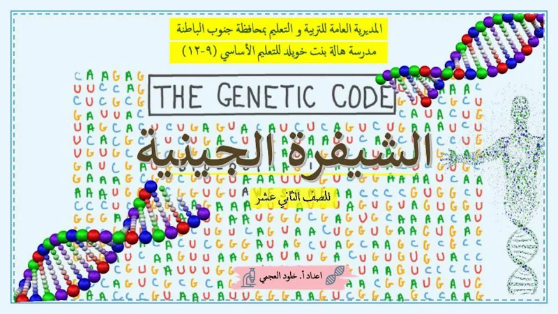 صورة الغلاف