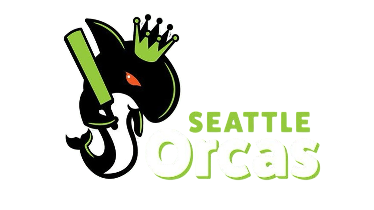 SEO logo