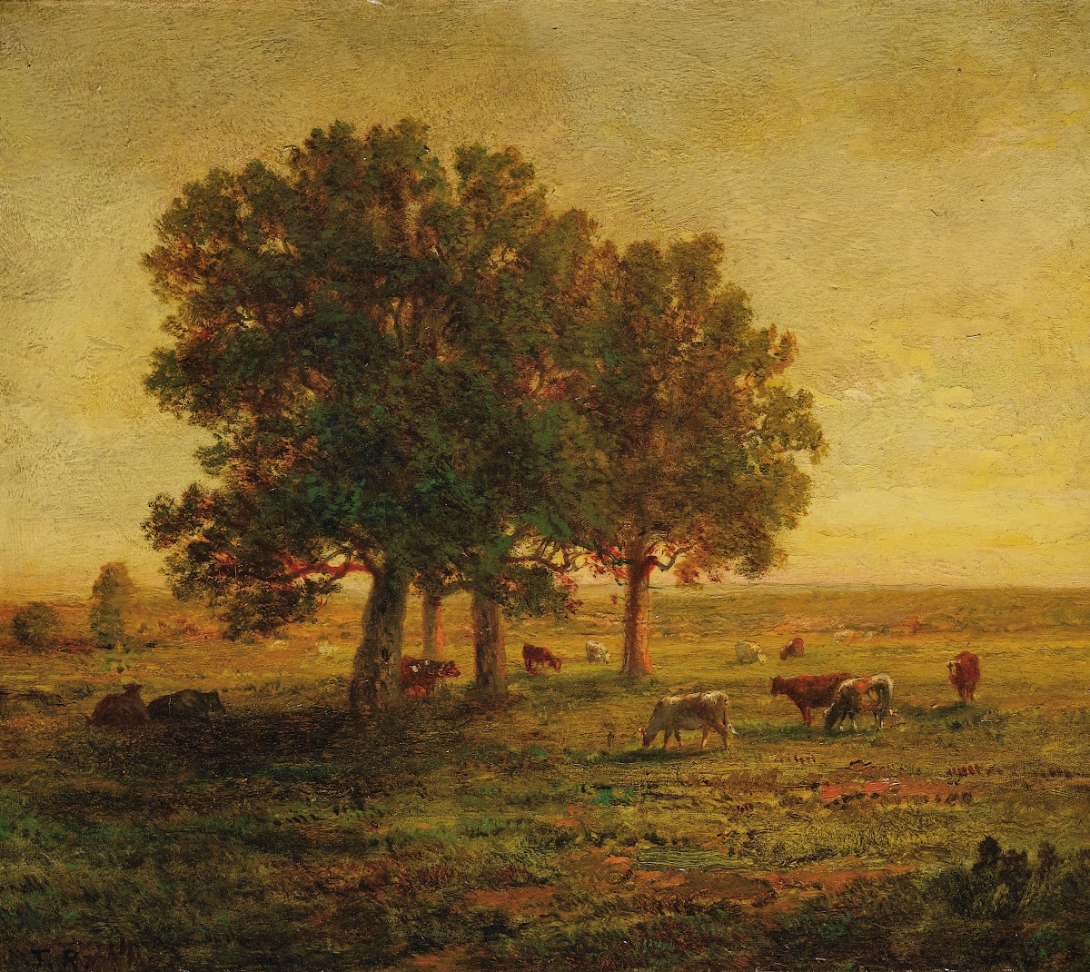 Vaches Sous Un Groupe De Chênes Apremont
