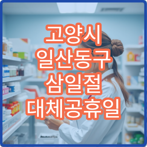 고양시 일산동구 삼일절 대체공휴일 외과 연휴 진료 병원 복통·상처 상담 가능