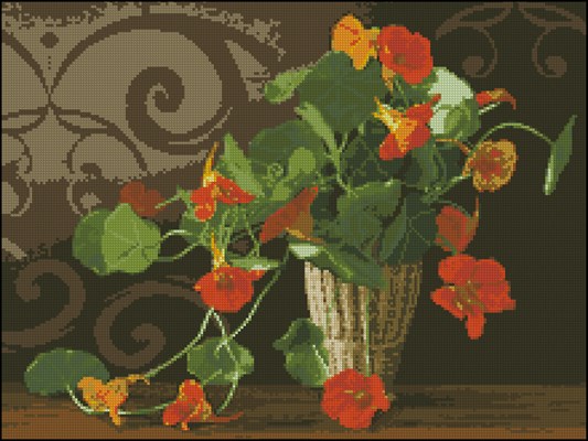 CMP 200757 Pattern