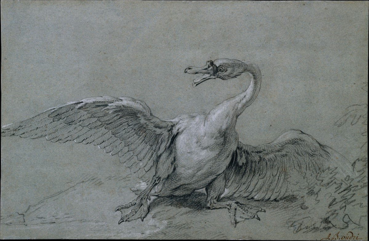 Angry Swan 18th century