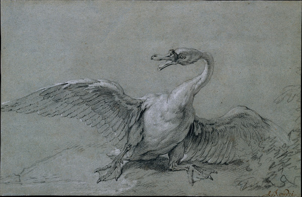 Angry Swan 18th century