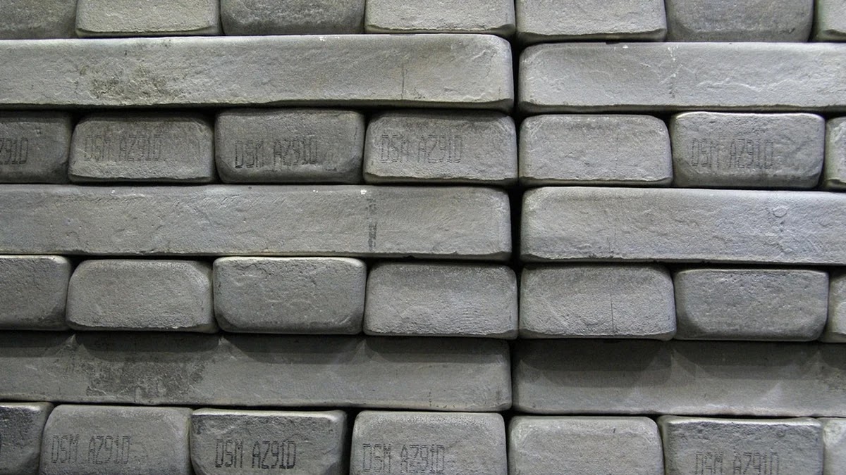 영양제 효능 비교: 비타민D, 마그네슘, 프로바이오틱스 효과 차이