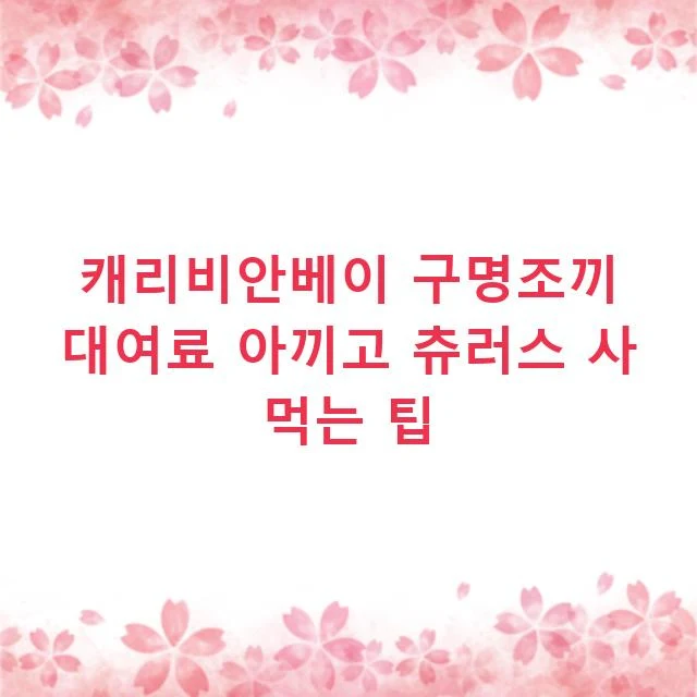 캐리비안베이 구명조끼 대여료 아끼고 츄러스 사 먹는 팁