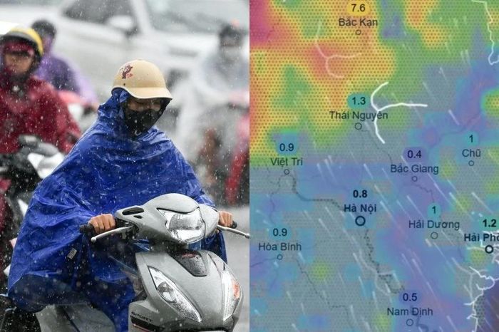 Bao giờ Hà Nội đón mưa dông giải nhiệt sau chuỗi ngày nắng nóng gay gắt? - Chuyên trang Hoa Học Trò - Báo Tiền Phong