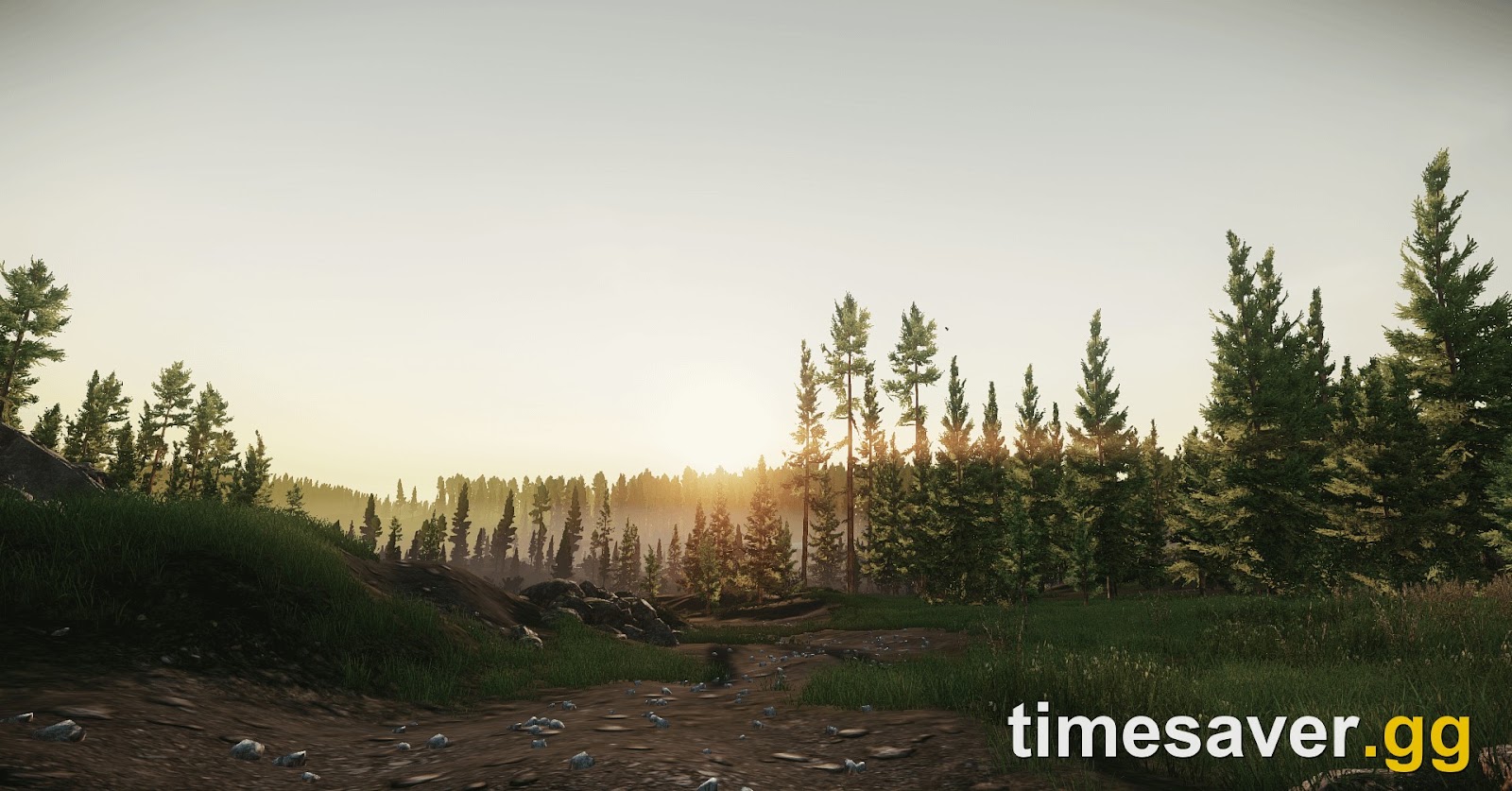Open sightlines across the Woods map at sunrise in Escape from Tarkov — one of the best maps to farm bolt-action headshots