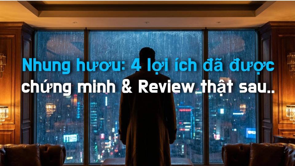 Nhung hươu: 4 lợi ích đã được chứng minh & Review thật sau khi dùng!