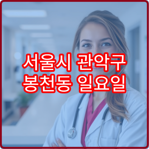 서울시 관악구 봉천동 일요일 성형외과 진료 여부