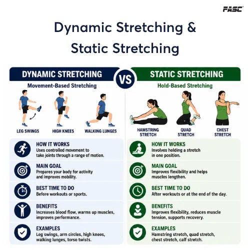 Dynamic stretching vs Static stretching