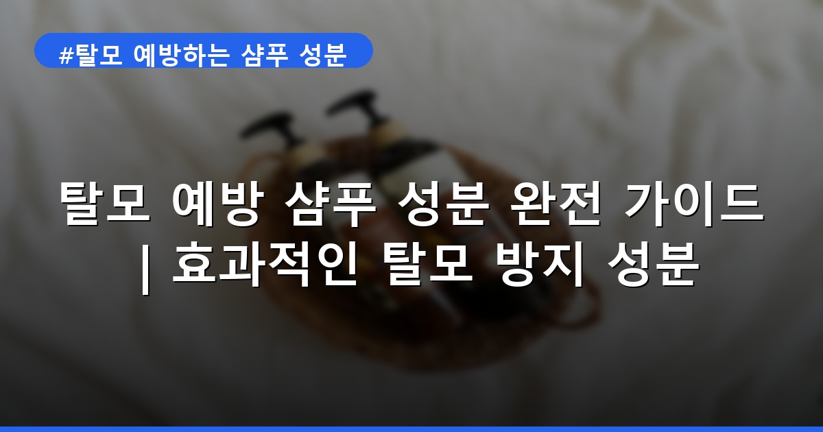 이미지