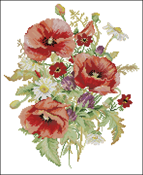 CMP K5242 Poppies