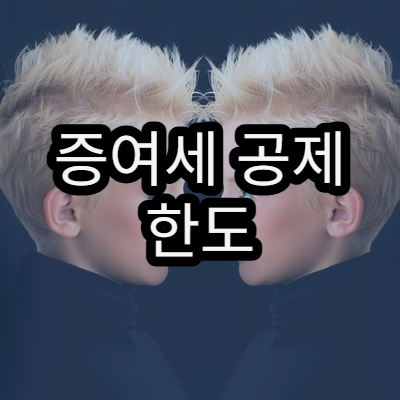 증여세 공제 한도 계산