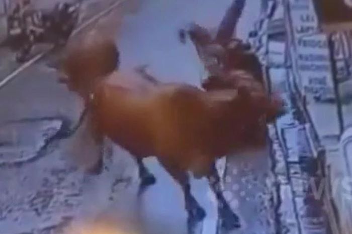 Kinh hoàng cảnh bò đực hung dữ húc người đàn ông văng lên không trung - Tạp chí Doanh Nghiệp Việt Nam
