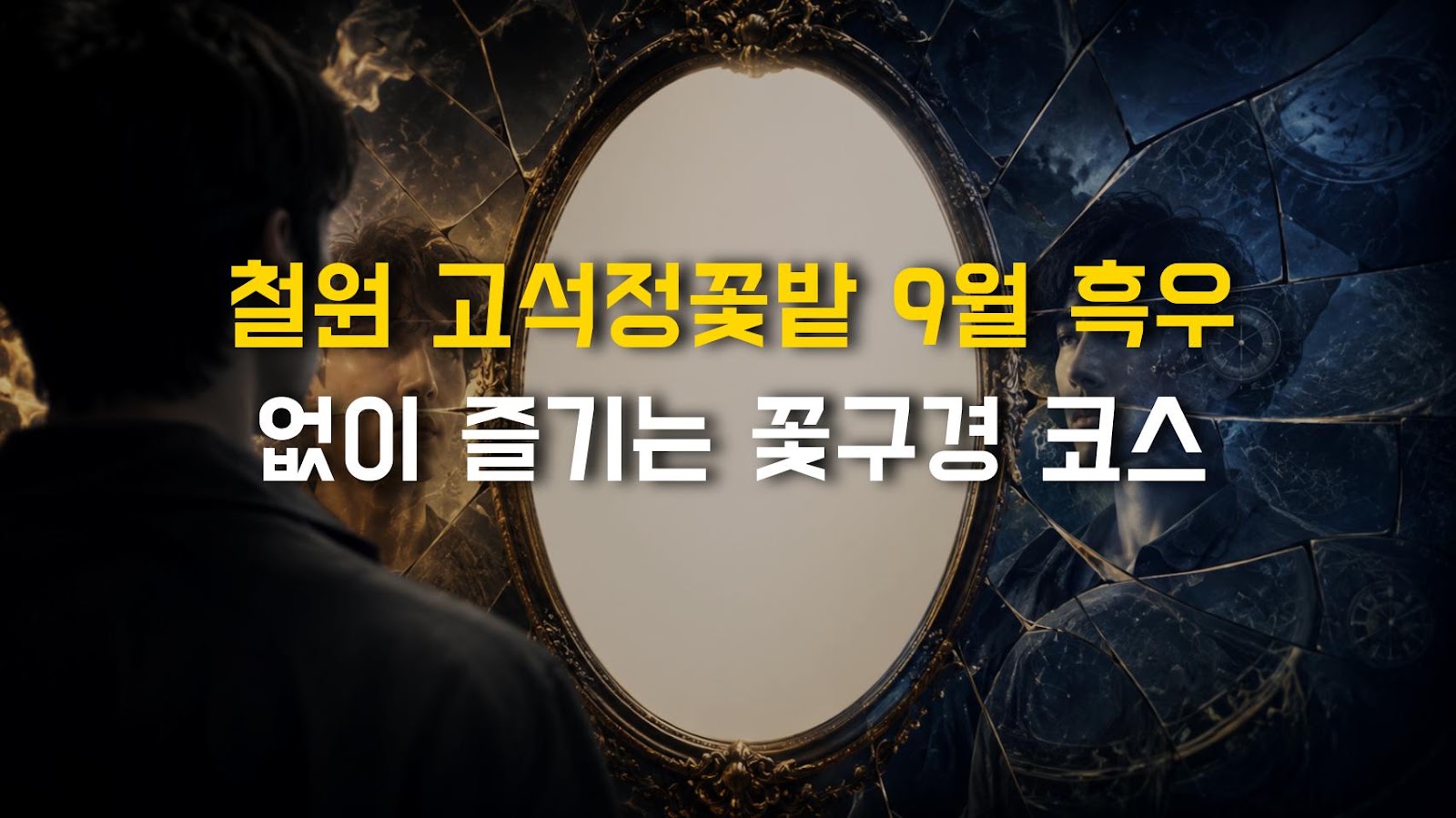 철원 고석정꽃밭 9월 흑우 없이 즐기는 꽃구경 코스