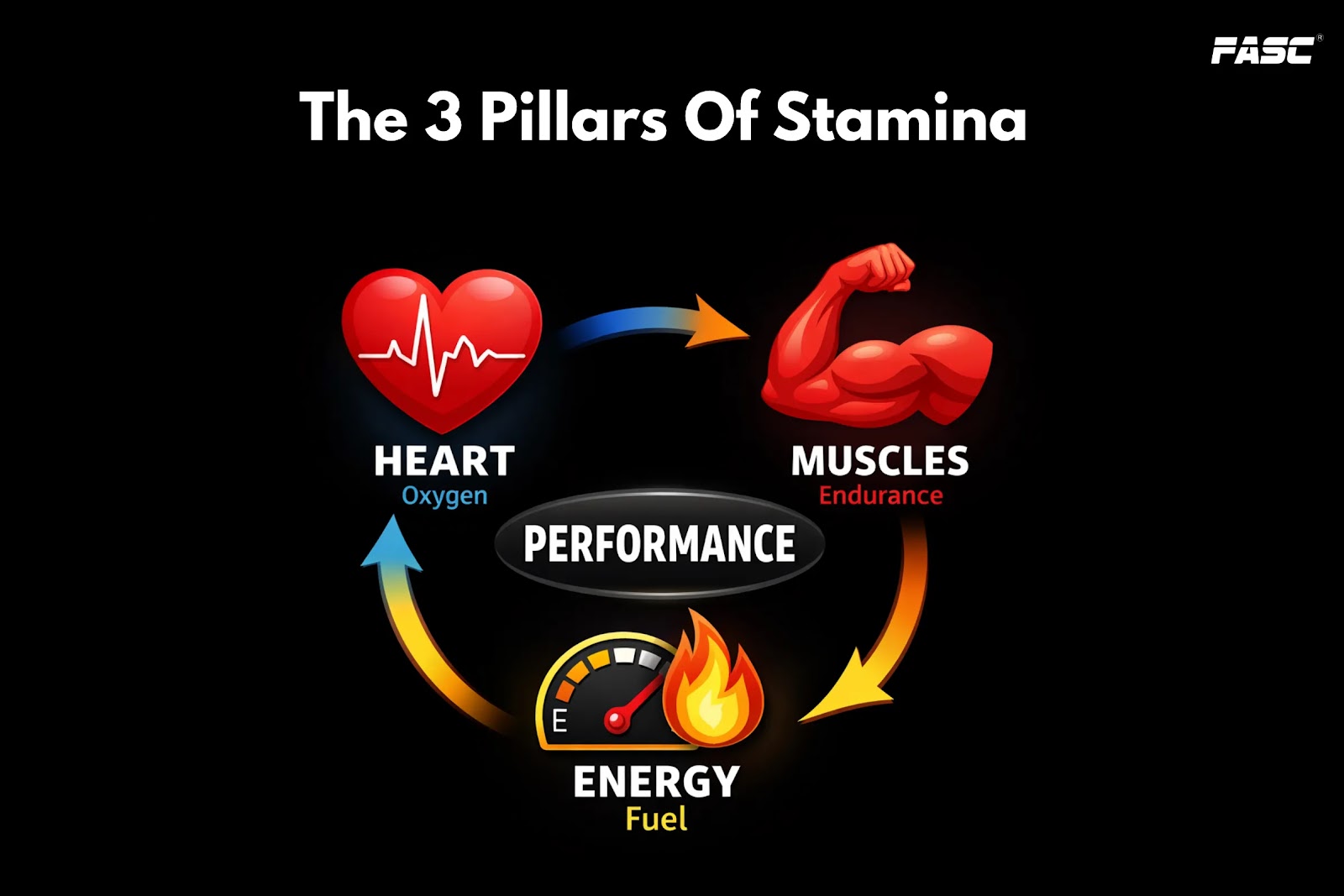 Pillars of stamina