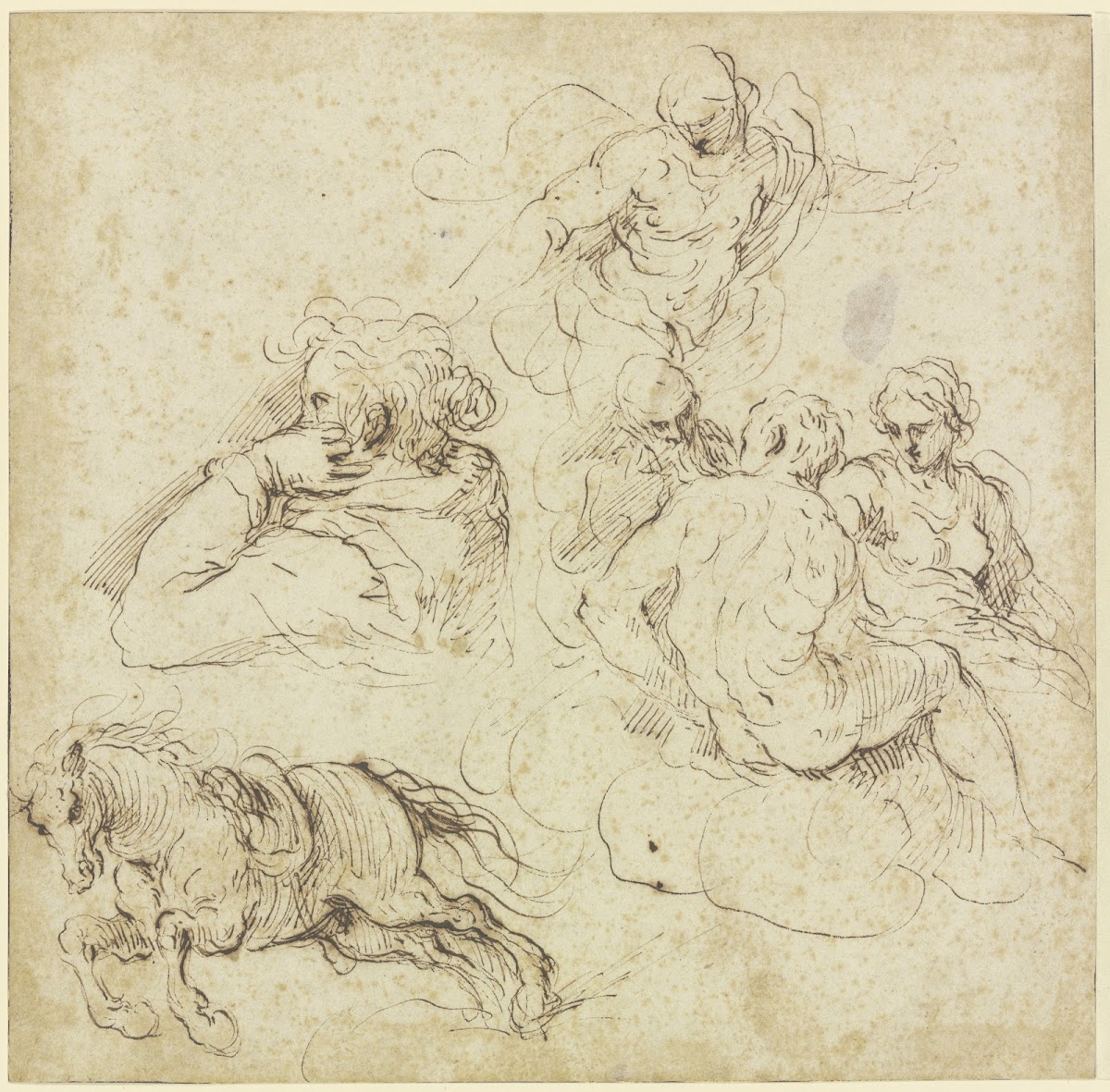 Study sheet with galloping horse a woman in profile looking left a group of figu