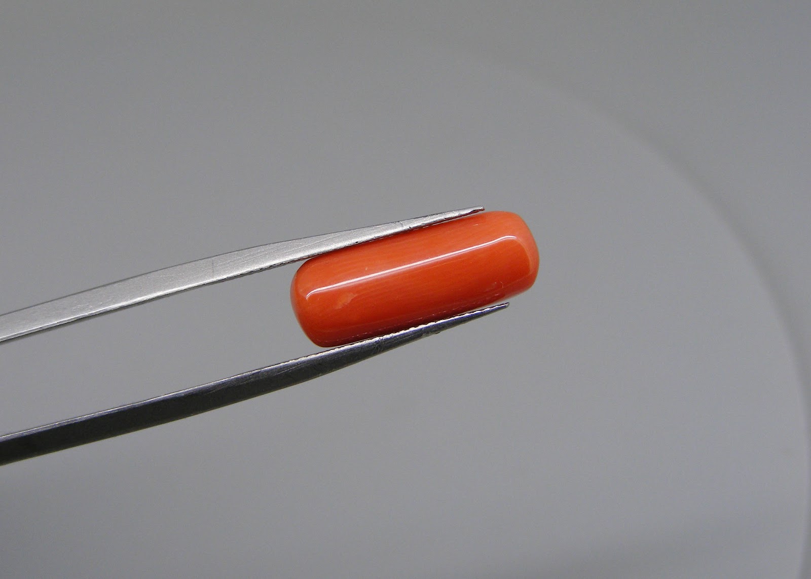 Natural Capsule Red Coral