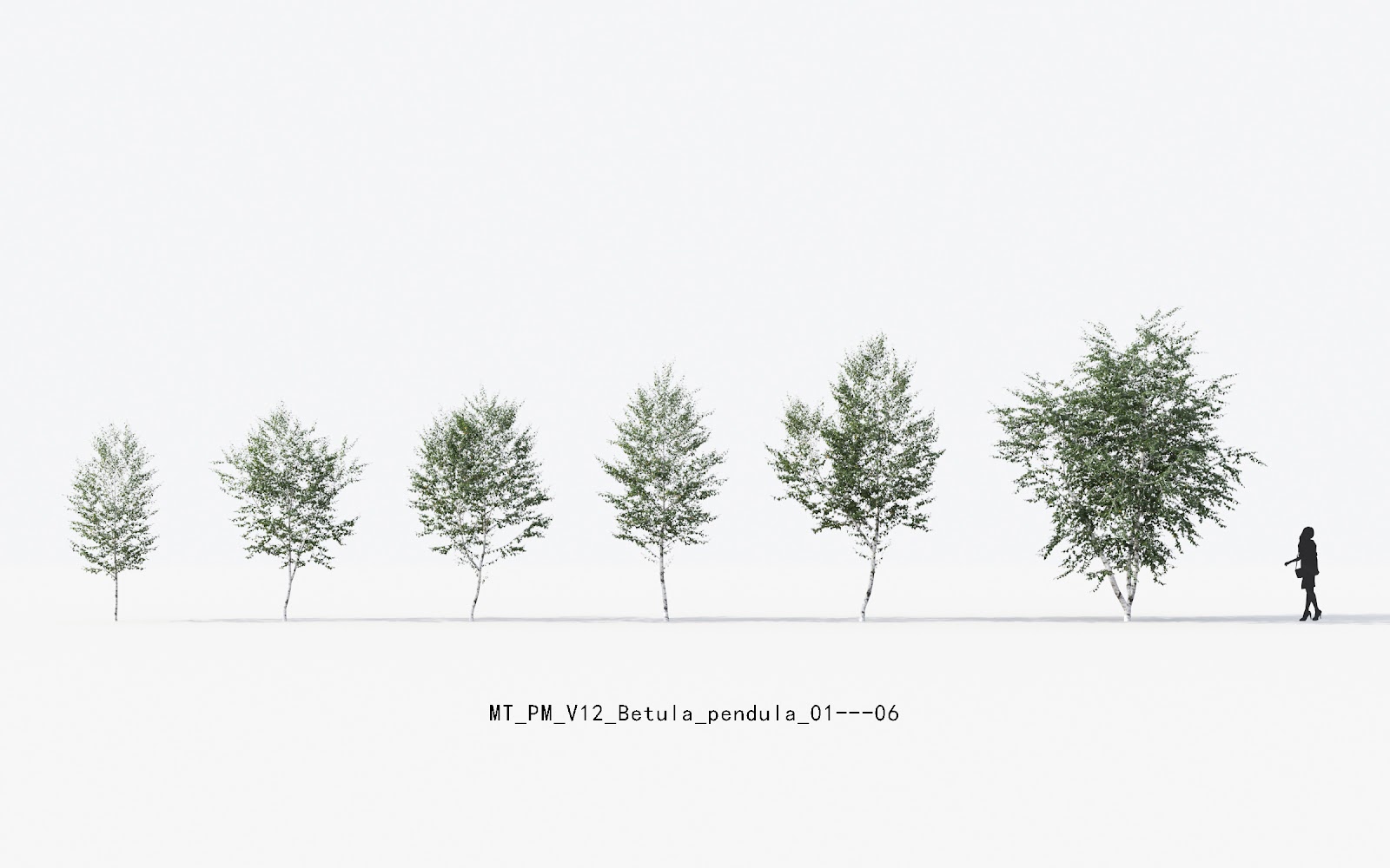 Maxtree - Plant Models Vol.12