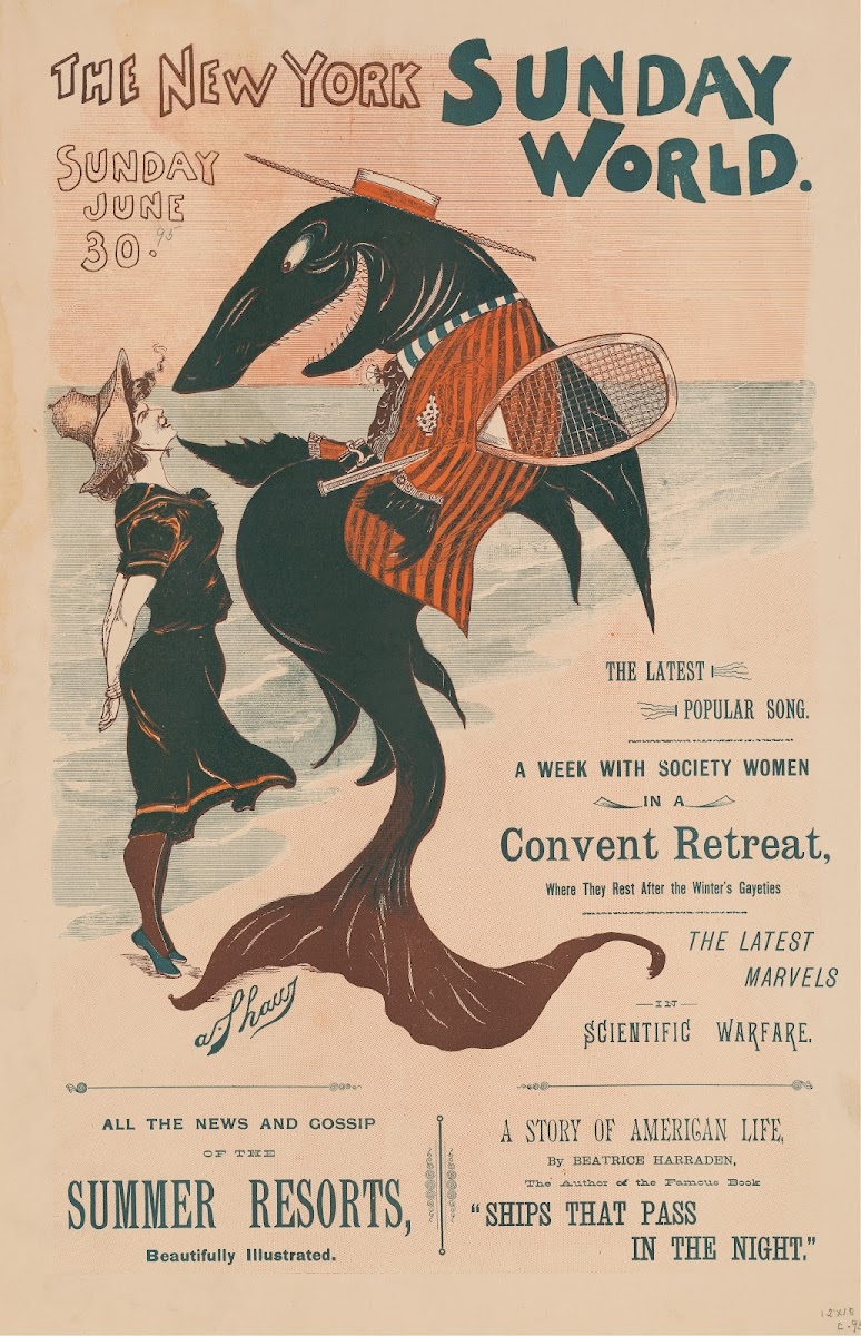 The New York Sunday World Sunday June 30 1895