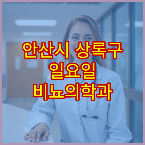 안산시 상록구 일요일 비뇨의학과 진료 병원 요로결석·방광염 상담