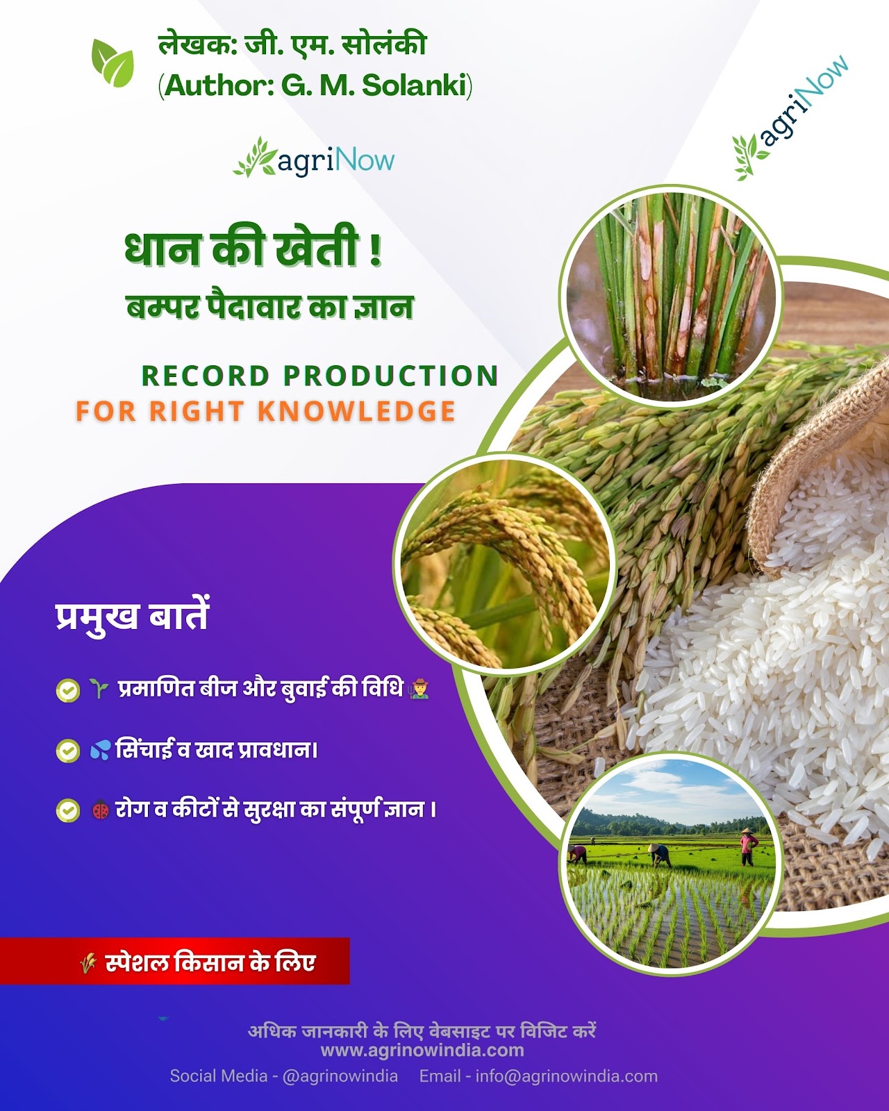 धान की खेती