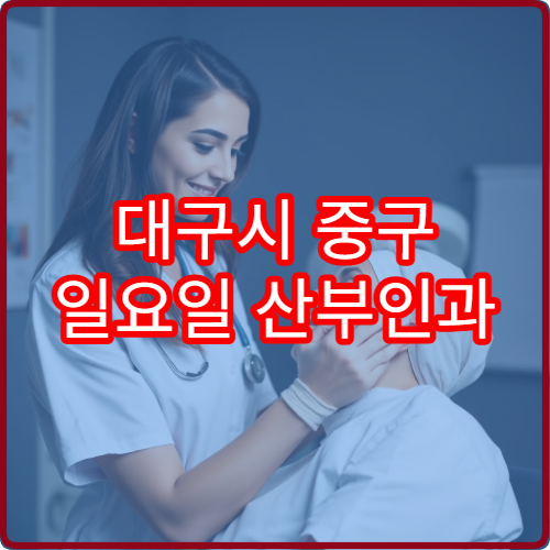 대구시 중구 일요일 산부인과 진료 운영 병원을 확인할 수 있는 최신 정보