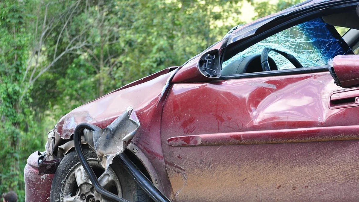 피부양자 자격 요건 변화가 가족 구조에 미친 영향 해석