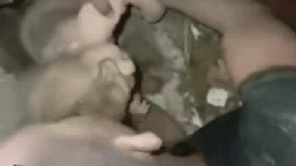 Khoảnh khắc em bé sơ sinh được cứu từ đống đổ nát sau trận động đất kép ở Venezuela - Báo Người Lao Động