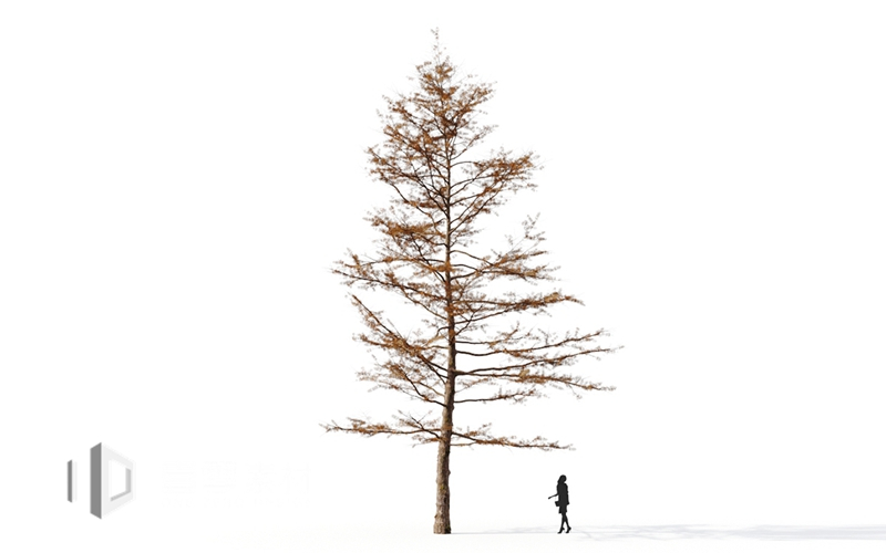 Maxtree - Plant Models Vol.9