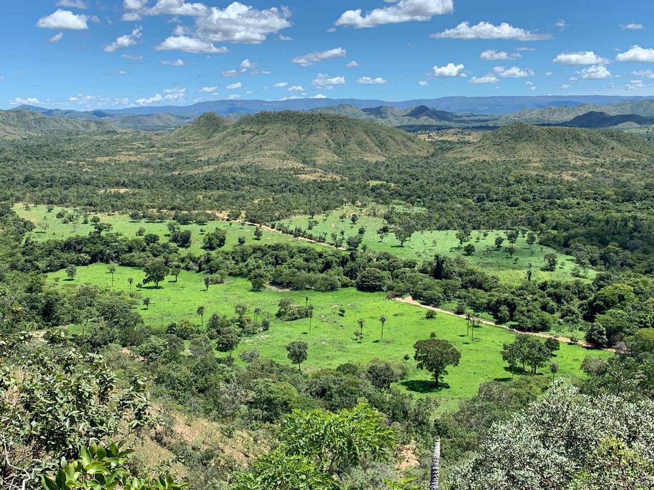 Fazenda no Município de Niquelândia - GO 9