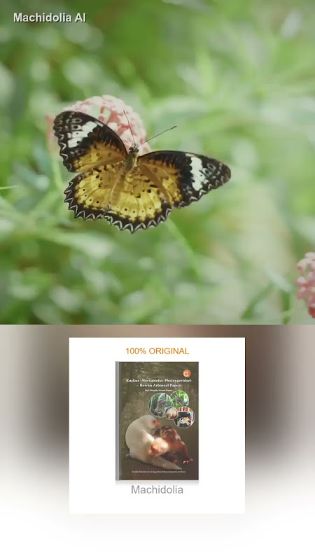 Buku Kuskus (Marsupialia: Phalangeridae)–Hewan Arboreal Papua Seri Pustaka Fauna Papua