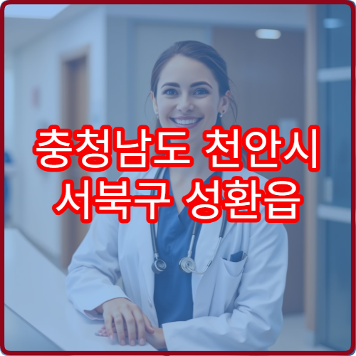 충청남도 천안시 서북구 성환읍 설날 명절 연휴 휴일 당직약국 정보