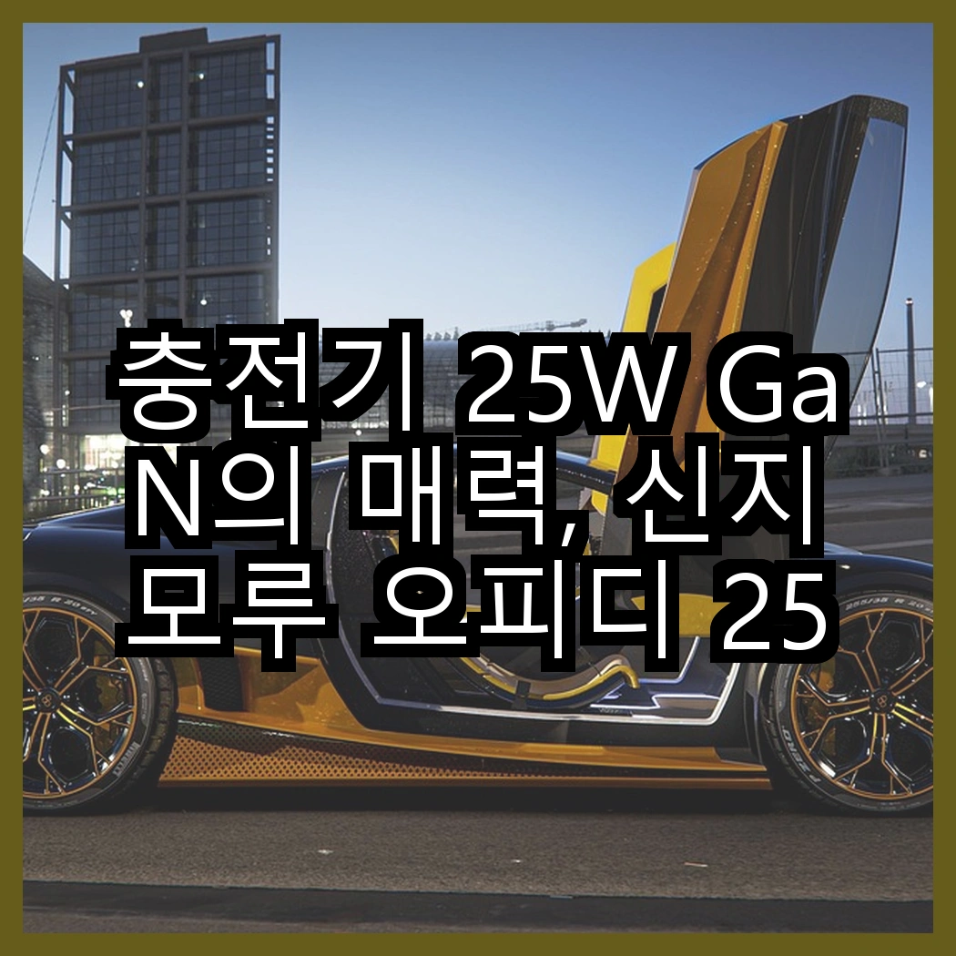 충전기 25W GaN의 매력, 신지모루 오피디 25W 듀얼포트 vs 삼성전자 25W C타입, 어떤 선택이 더 빠를까? 썸네일