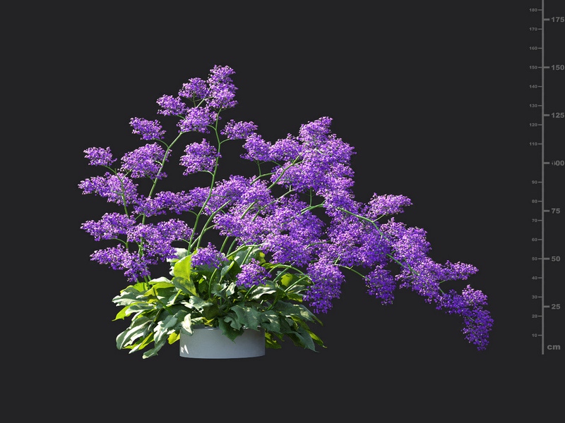 Maxtree - Plant Models Vol.115