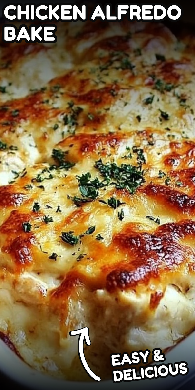 Chicken Alfredo Bake