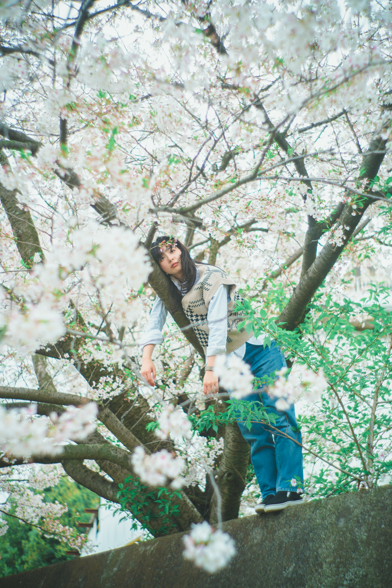 Portrait — Makino Shota
