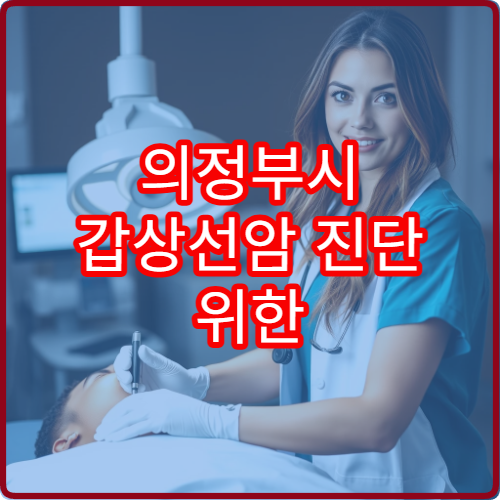 의정부시 갑상선암 진단 위한 초음파·혈액 검사 병원 정보