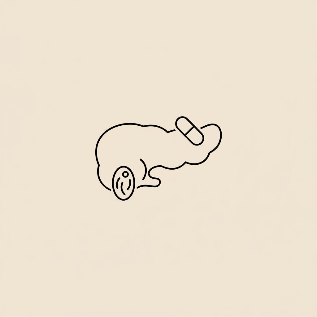 Minimalist line illustration of a pancreas overlapped by a small capsule and a mitochondrion icon on beige background, representing alpha lipoic acid pancreas.