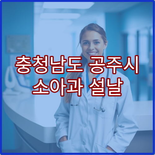 충청남도 공주시 소아과 설날 명절 발열·설사 소아 응급 진료 병원