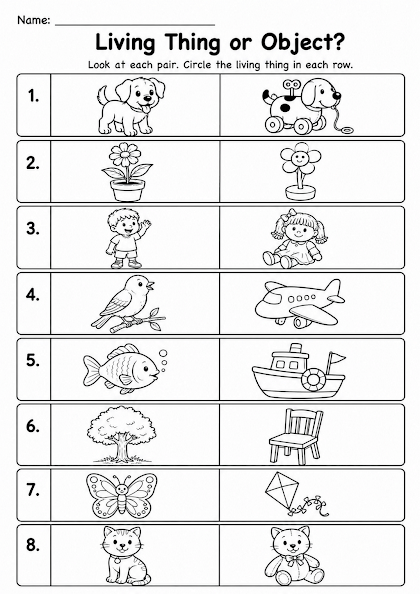 Living Thing or Object? Picture Pairs