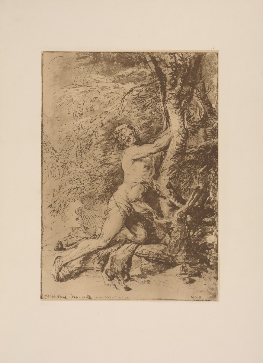 Salvatore Rosa  Milo of Croton 1900