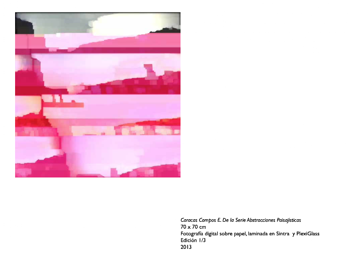 Abstracciones Paisajísticas compos E 2013